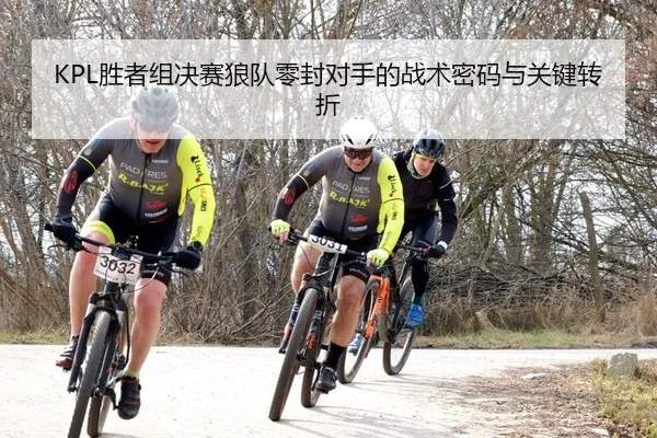 KPL胜者组决赛狼队零封对手的战术密码与关键转折